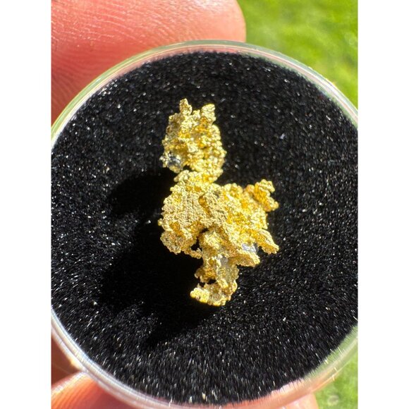 California Native Gold Crystal - 0.63 grams - Picture 2 of 5